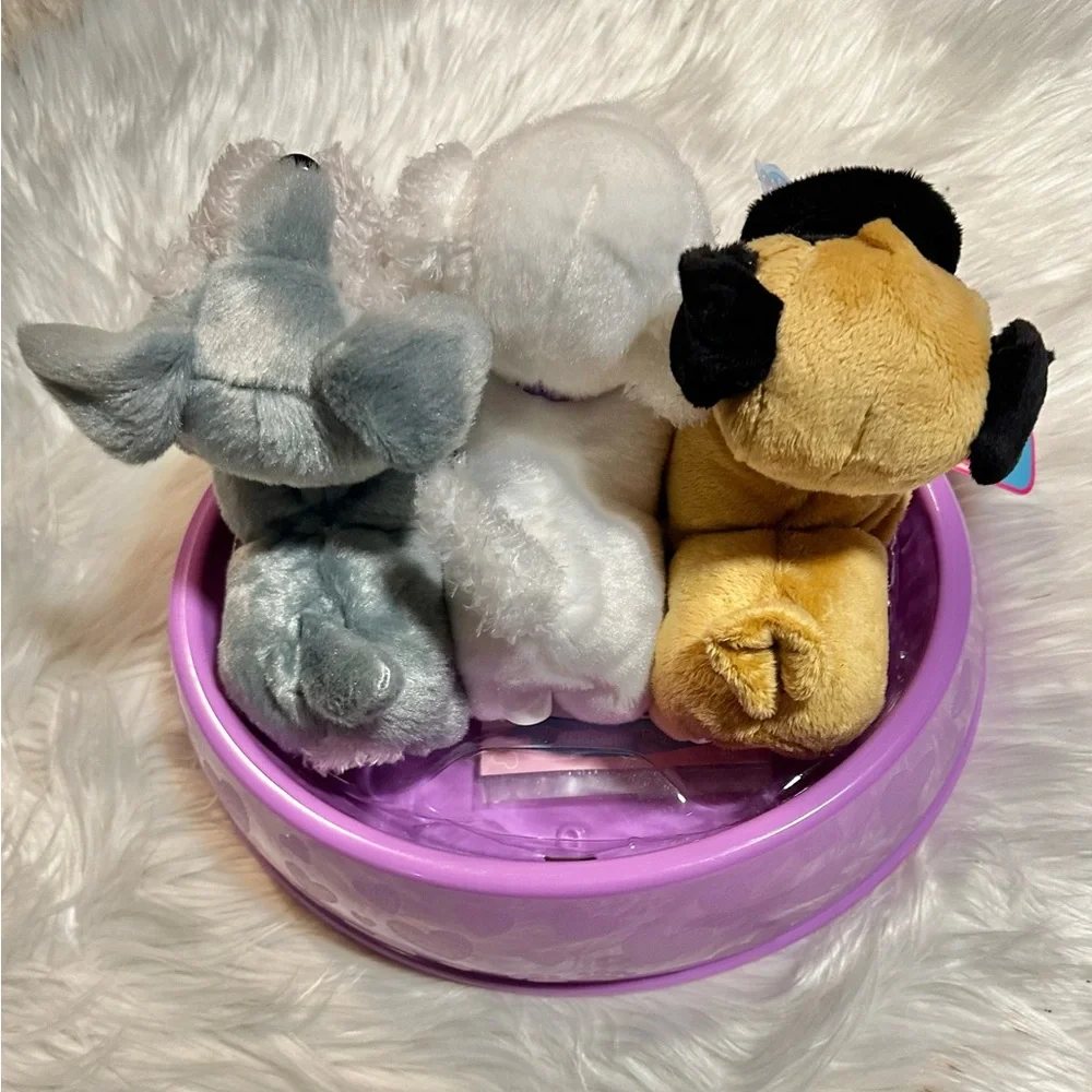 Pucci Pups - Picture 5 of 6
